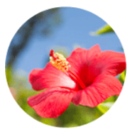 フルリ クリアゲルクレンズの効果5