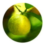 フルリ クリアゲルクレンズの効果4